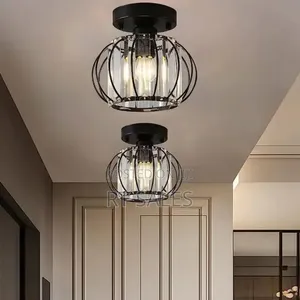 Crystal Body Pendant Light. Dl02