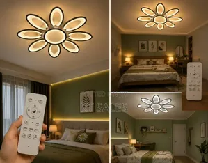 Remote Control Ceiling Light.