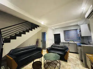 Furnished 2bdrm Apartment in Adjiringanor, Adjiriganor for rent