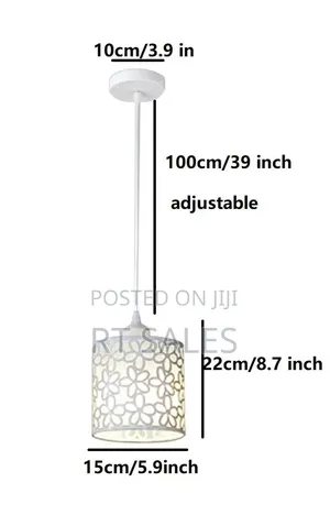Single Pendant Light. Dl010