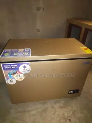 Nasco Chest Freezer