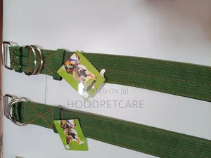 Dog Collar for Big Dogs