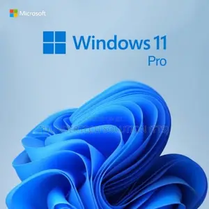 Windows Installation (From Windows 7-11)