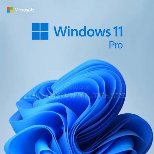 Windows Installation (From Windows 7-11)