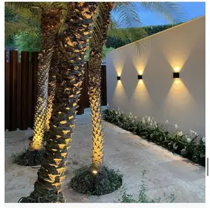 Warm Led Wall Light Available