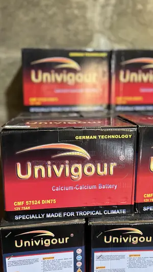 Car Battery German