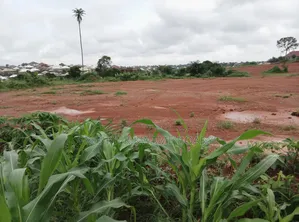 5 Plots of Land for Sale at Abuakwa Darban