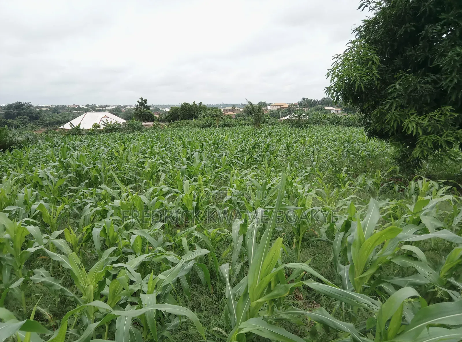 5 Plots of Land for Sale at Abuakwa Darban