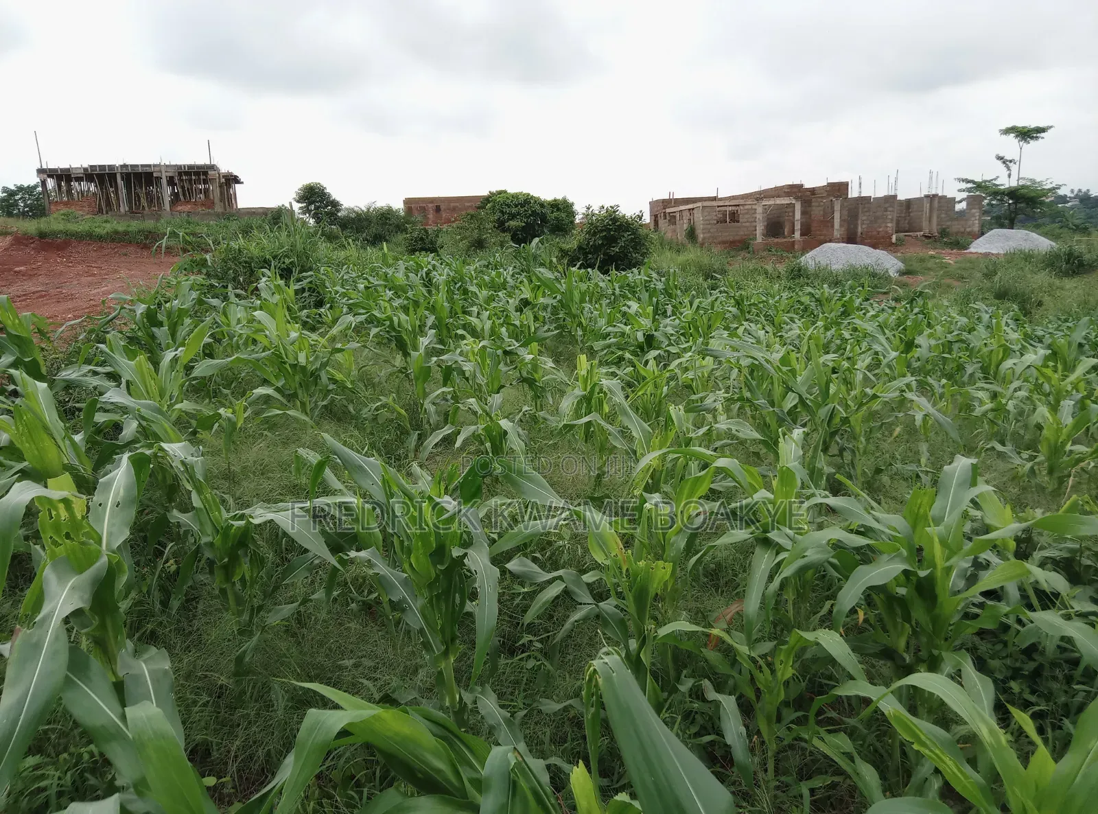 5 Plots of Land for Sale at Abuakwa Darban