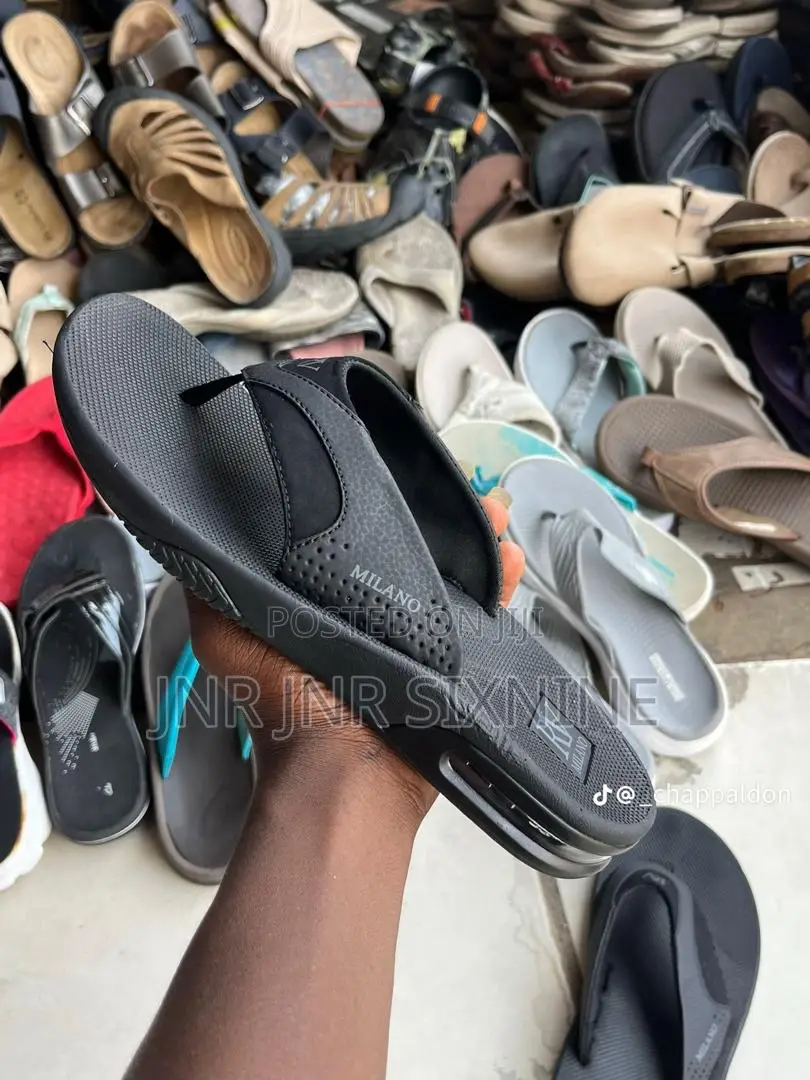 Slipper and Dog Mouth
