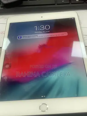 Apple iPad mini 5 256 GB Silver