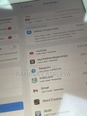 Apple iPad mini 5 256 GB Silver