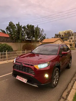 Toyota RAV4 XLE AWD 2019 Maroon