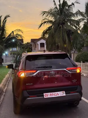 Toyota RAV4 XLE AWD 2019 Maroon