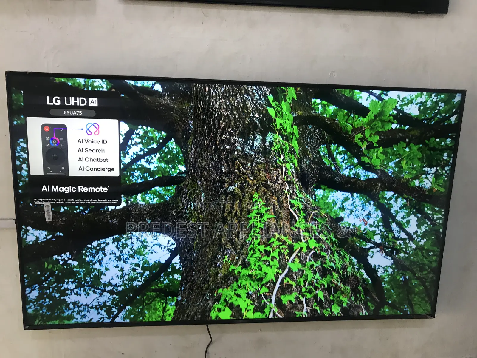 Lg Uhd 65 Inches 2025 Model