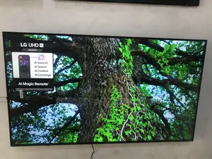 Lg Uhd 65 Inches 2025 Model