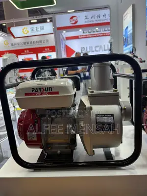 Original Parsun Wp30x Water Pump