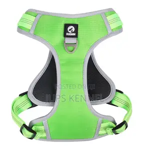 Dog Harness (Collar)