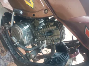 Apsonic AP200-A 2019 Brown