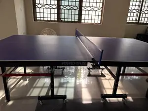 Tennis Ball Table