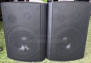 Ds Audio Tp603 Passive Wall Mount Speaker