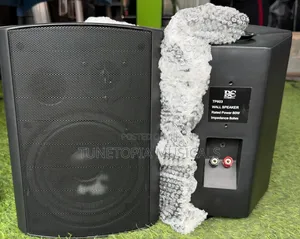 Ds Audio Tp603 Passive Wall Mount Speaker