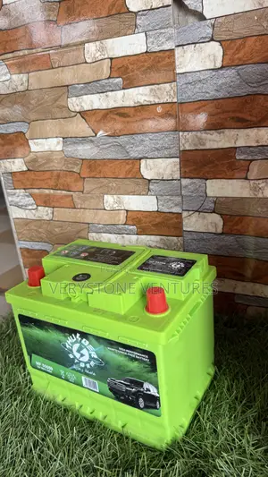 Thunderstorm Car Batteries 13 Plate Car Battery