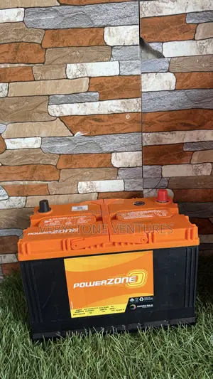 Cat Battery Powerzone