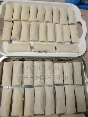Frozen Spring Rolls