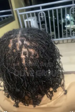 Bold Sisterlocks