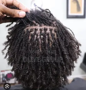 Elegant Sisterlocks