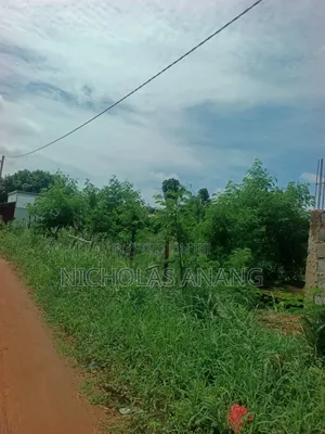 Tittled Land for Sale at Oyibi