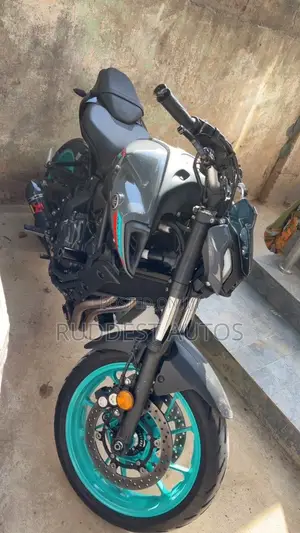 Yamaha FZ 2022 Gray