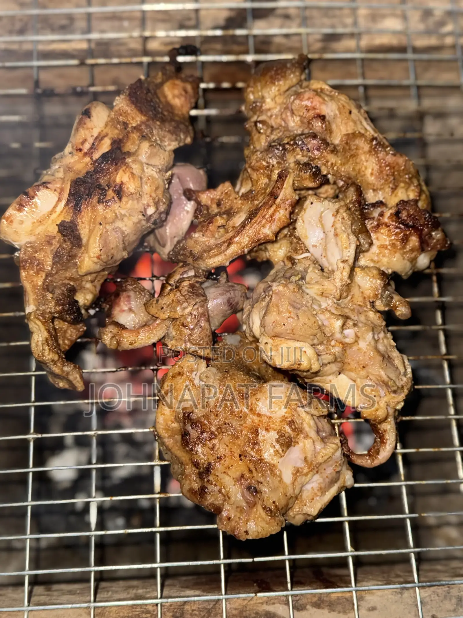 Healthy Meat Rabbit