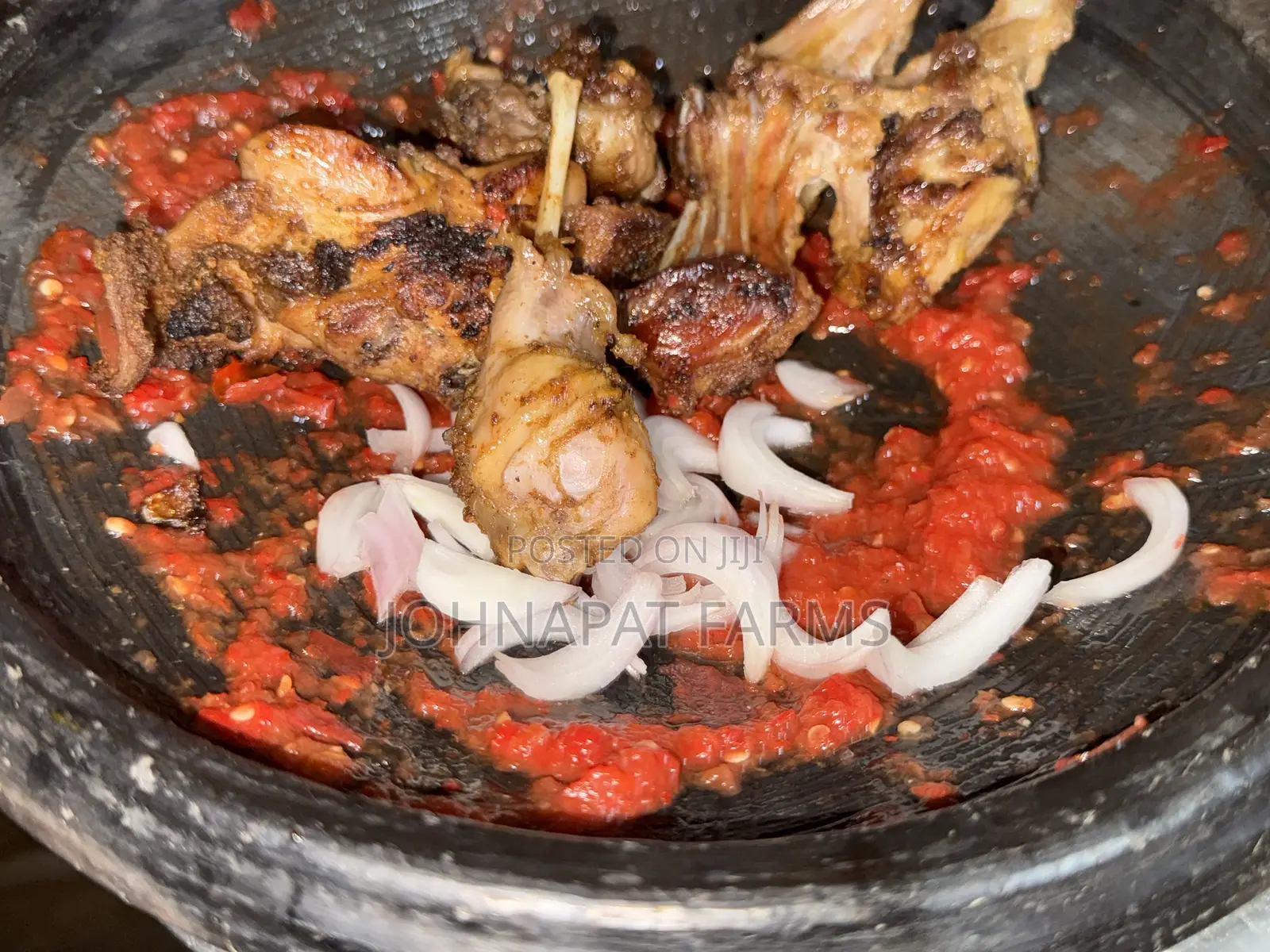 Healthy Meat Rabbit