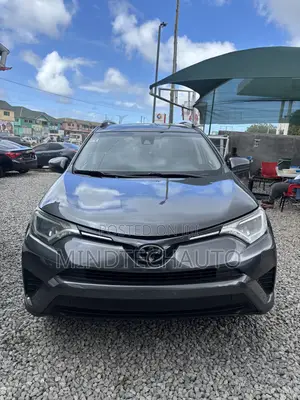Toyota RAV4 LE AWD 2019 Gray