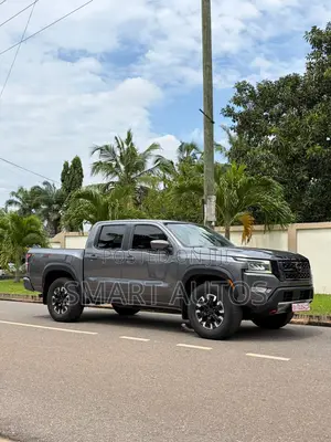 Nissan Frontier PRO-4X 2023 Gray