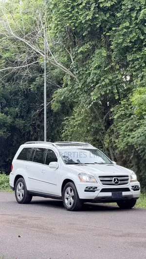 Mercedes-Benz GL-Class GL 450 2010 White