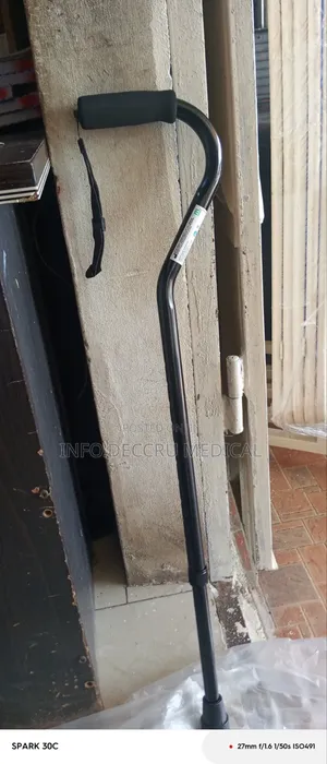 Walking Stick ( Portable Black)