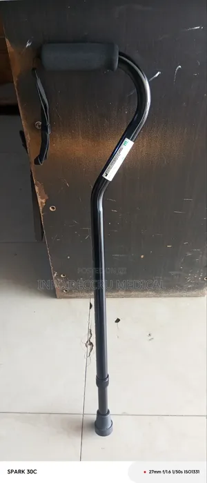 Walking Stick ( Portable Black)