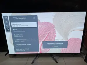 B4 Lg Evo Oled Tv 55” Inch Smart HDR Uhd 120 Hz Active Gaming Tv