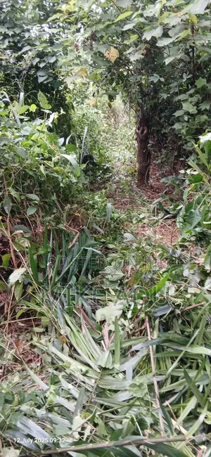 Half Plot of Land for Sale