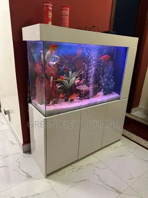 Aquarium Tanks and Fishes