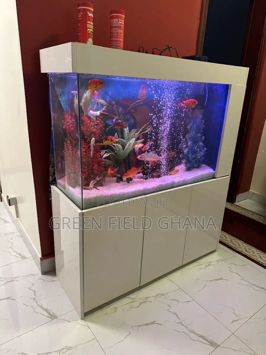 Aquarium Tanks and Fishes