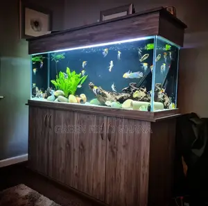 Aquarium Tanks and Fishes