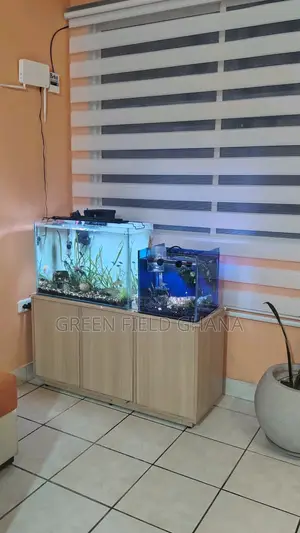 Aquarium Tanks and Fishes