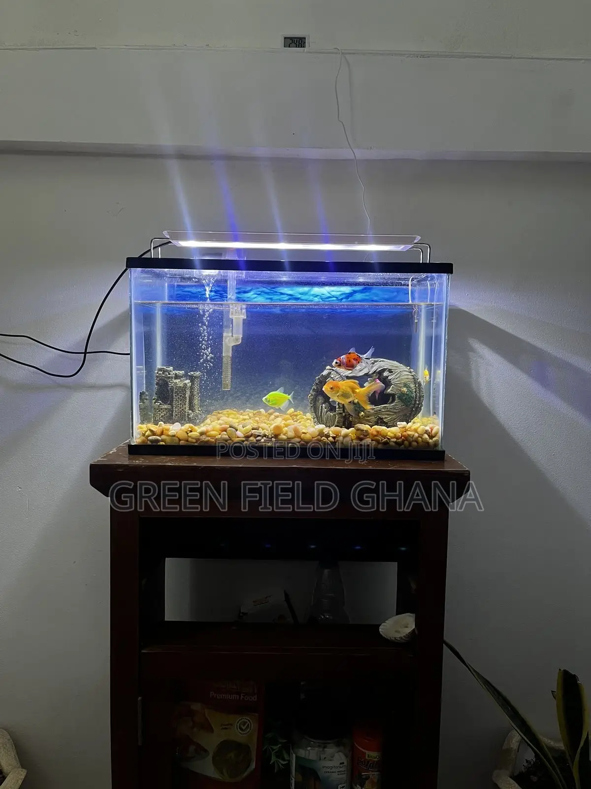 Aquarium Tanks and Fishes