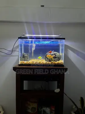 Aquarium Tanks and Fishes