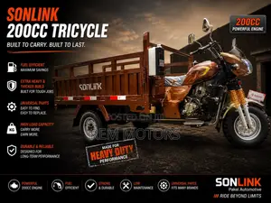 New Sonlink SL200ZH-SC 2026 Brown