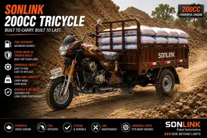 New Sonlink SL200ZH-SC 2026 Brown